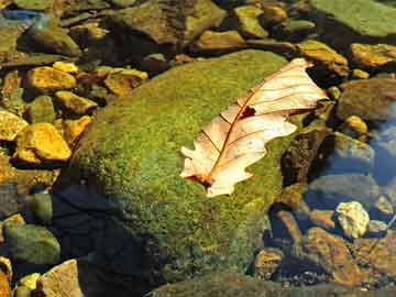 香港最準(zhǔn)一碼一肖100精準(zhǔn),上海一高速大巴撞護(hù)欄致1死2傷