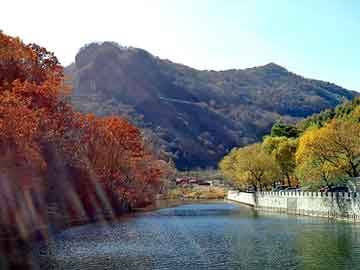 搖錢(qián)樹(shù)一肖一碼中平特,國(guó)色芳華每集廣告數(shù)高達(dá)13個(gè)