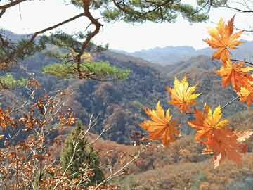 四肖期期期準(zhǔn)資料大全最新版,95后女子鼻塞2個(gè)月一查竟是癌