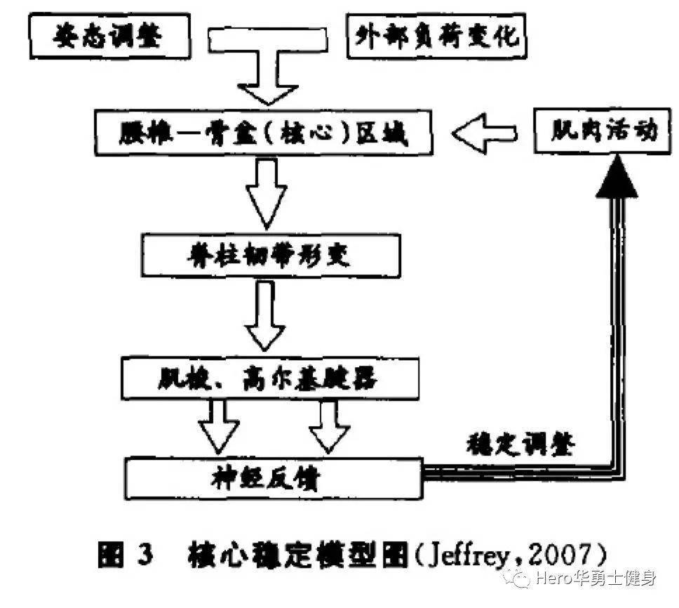 體育與體育科學(xué)的區(qū)別和聯(lián)系,體育與體育科學(xué)的區(qū)別和聯(lián)系，從定義到實(shí)踐經(jīng)驗(yàn)解析,數(shù)據(jù)解析支持設(shè)計(jì)_十三行75.45.13