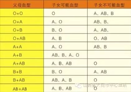 血型親子鑒定對照表,血型親子鑒定對照表與數(shù)據(jù)實施導向策略，經(jīng)典款詳解,數(shù)據(jù)導向設計解析_LT88.85.81