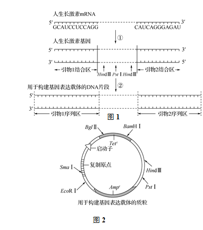 pcr擴(kuò)增儀使用步驟,PCR擴(kuò)增儀使用步驟與實(shí)地驗(yàn)證設(shè)計(jì)解析,專(zhuān)業(yè)分析解析說(shuō)明_app29.29.35