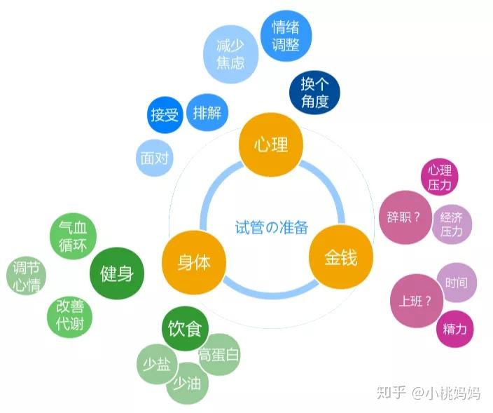 協(xié)和試管嬰兒費用,協(xié)和試管嬰兒費用與安全策略評估，專業(yè)解讀及展望,可持續(xù)執(zhí)行探索_移動版14.58.43