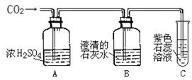 電子膨脹閥探頭安裝位置,電子膨脹閥探頭安裝位置與實地驗證設計解析,實地分析數據計劃_AP30.92.67