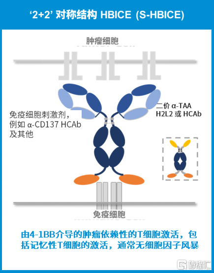 新澳2025今晚開(kāi)獎(jiǎng)資料,新澳2025未來(lái)開(kāi)獎(jiǎng)數(shù)據(jù)分析與精選解析手冊(cè),創(chuàng)新解析執(zhí)行_HarmonyOS46.48.91