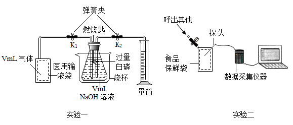 2024年12月27日 第40頁