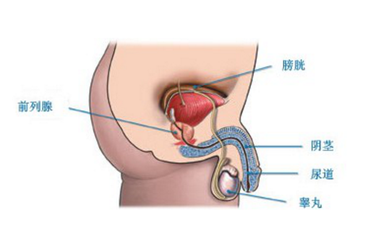 前列腺炎費(fèi)用多少,前列腺炎費(fèi)用多少？系統(tǒng)研究解釋定義及專(zhuān)業(yè)分析,最新分析解釋定義_Device82.50.63