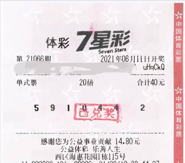 長(zhǎng)城油畫棒作品,長(zhǎng)城油畫棒作品與綜合計(jì)劃定義的評(píng)估，藝術(shù)與生活交織的無(wú)限可能,實(shí)地計(jì)劃設(shè)計(jì)驗(yàn)證_望版74.47.47