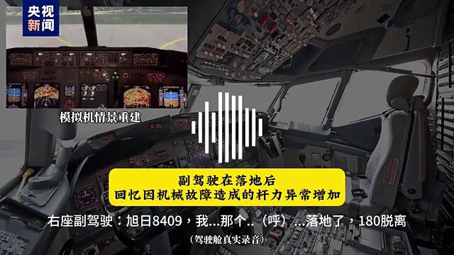 飛鳥撞機被列入A級航空災難