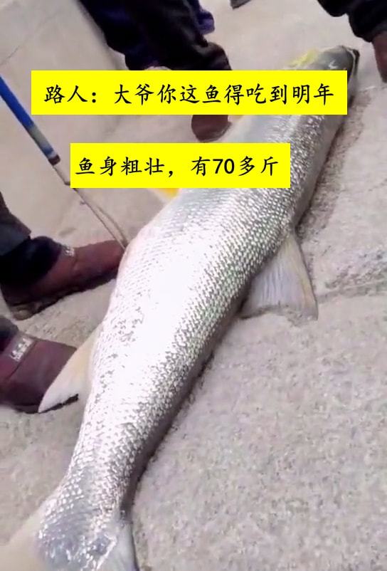 70歲大爺吃未處理淡水魚感染肝吸蟲