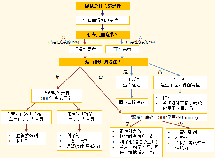 心源性猝死后 學(xué)校處理流程