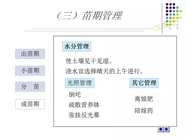 資料大全正版資料免費(fèi)獲取,新興技術(shù)推進(jìn)策略_Nexus17.17.95