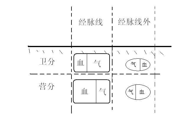 內(nèi)部二肖二碼,理論解答解釋定義_版曹85.84.81