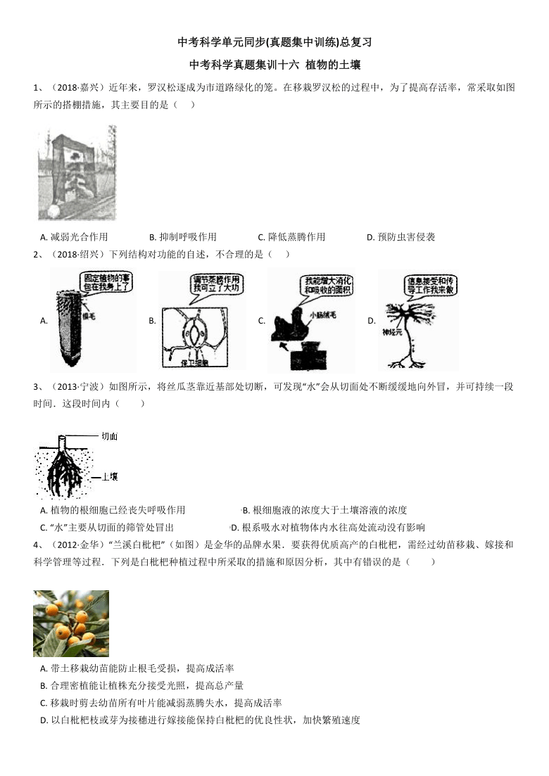 小魚(yú)兒玄機(jī)2,科學(xué)解析評(píng)估_專屬款21.67.40