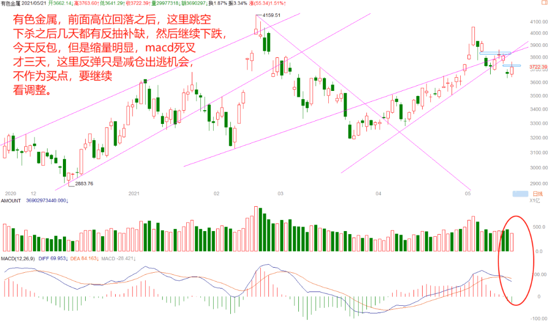 2025新澳門(mén)免費(fèi)開(kāi)獎(jiǎng)結(jié)果查詢(xún),看完唐探1900在美國(guó)市政廳蹦迪