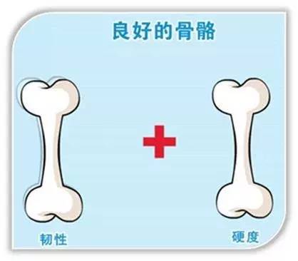 二四六玄機(jī)圖資料大全,骨折后要多喝骨頭湯？假