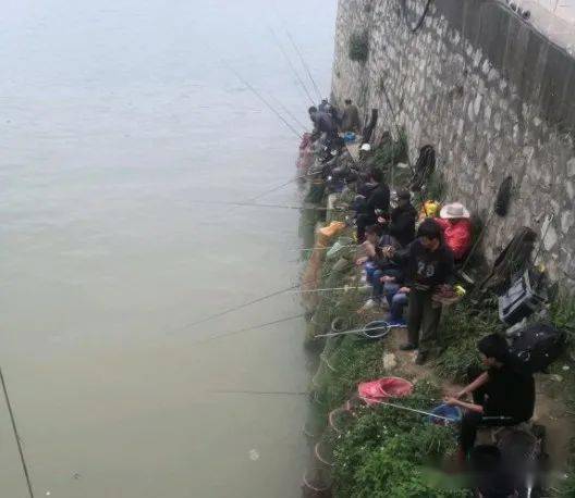 香港天下彩線路入口,釣魚的和不會釣魚的都沉默了