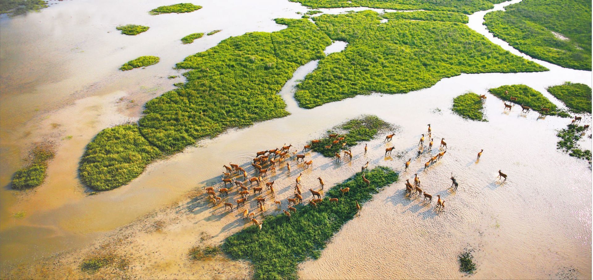 九點半論壇澳門的開獎記錄,新疆巴州龍駒濕地現(xiàn)“冰荷葉”景觀